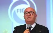 tavecchio