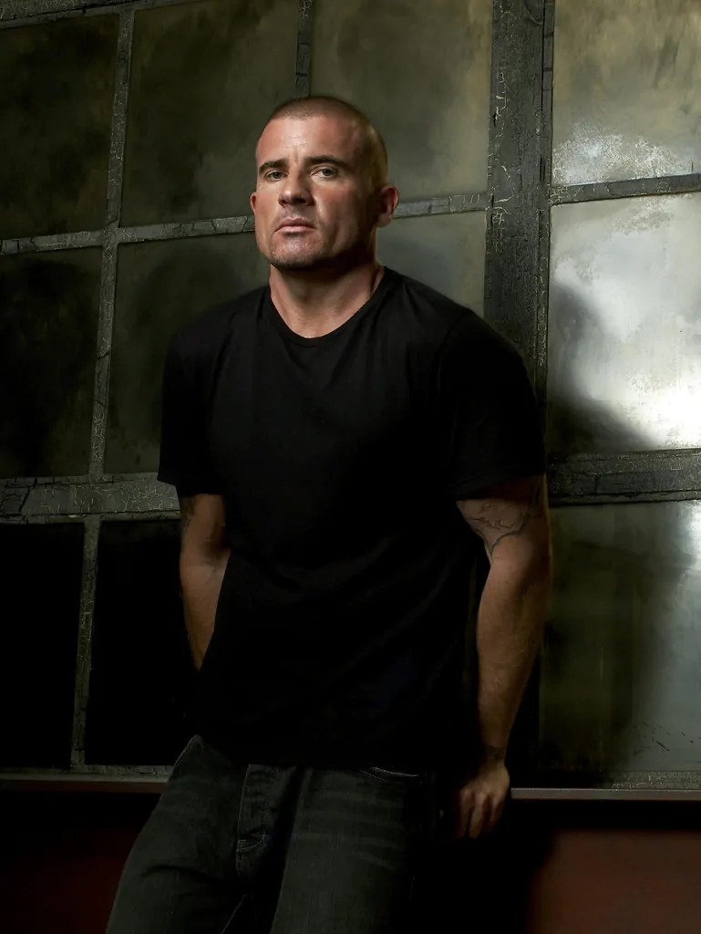 lincoln burrows