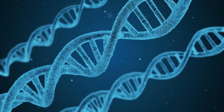 Sindrome di Williams: sintomi e cure possibili