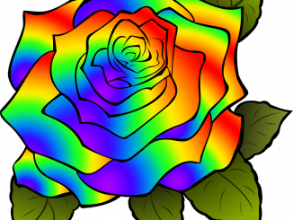 Come Disegnare Una Rosa Messaggi E Significati Di Questo Fiore