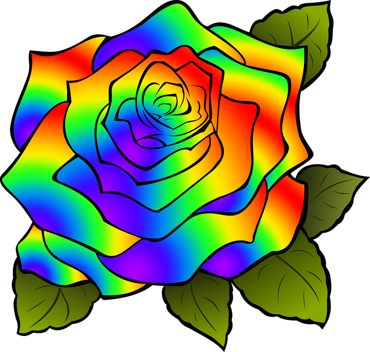 rosa