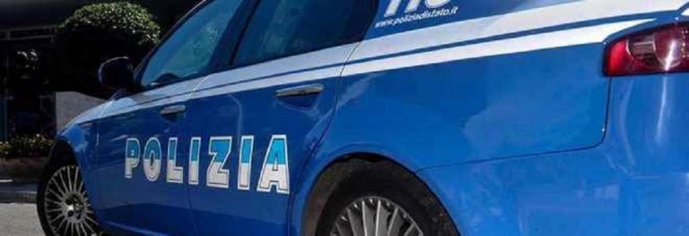 Catnia
