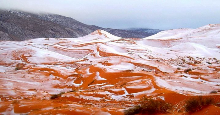 Sahara, le immagini spettacolari della neve nel deserto