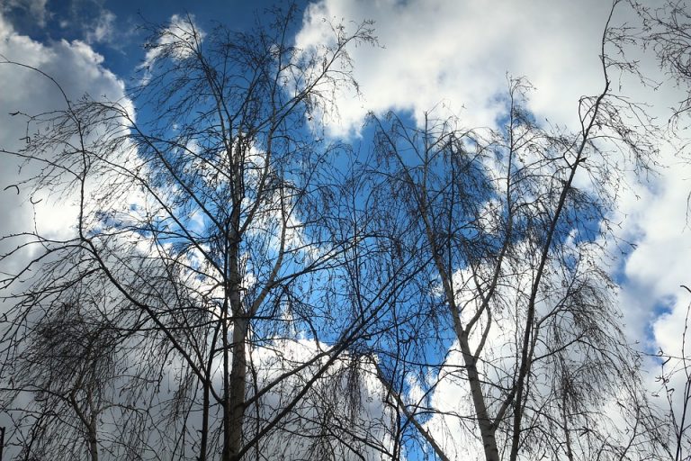 Previsioni meteo giovedì 1 febbraio 2018