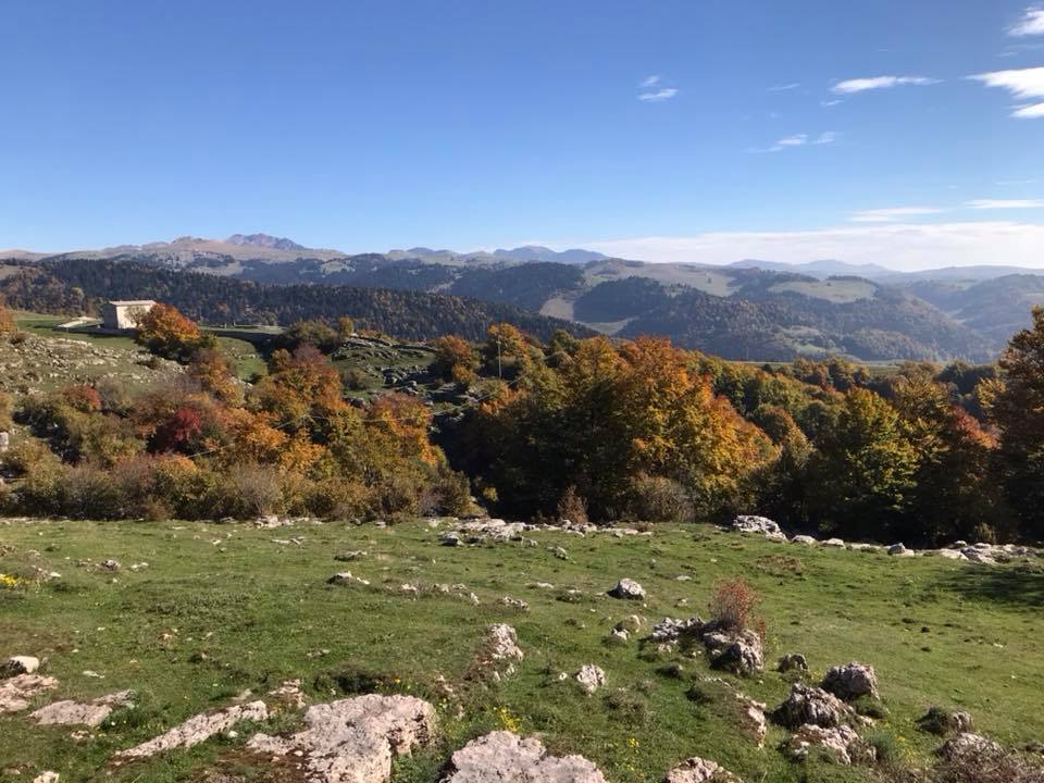 lessinia