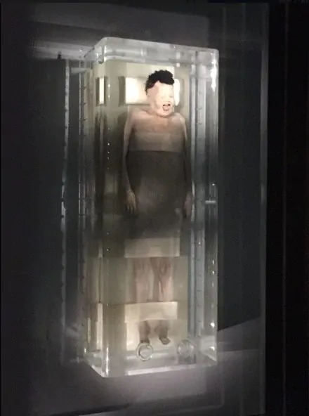 La mummia di Xin Zhui
