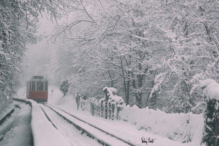 trenino