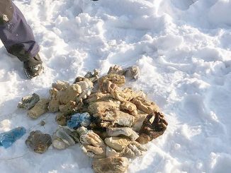 Dove si trova il numero della carta d'identità elettronica Dove si trova il numero della carta d'identità elettronica