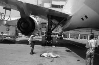 assistente di volo