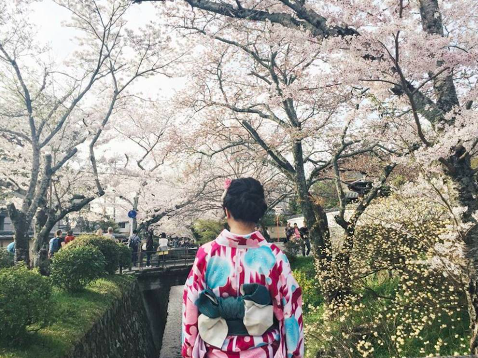 ciliegi tokyo