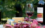 Vino rosso, proprietà e benefici sulla salute