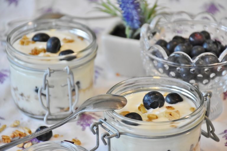 Yogurtiera: classifica dei migliori modelli Yogurtiera: classifica dei migliori modelli
