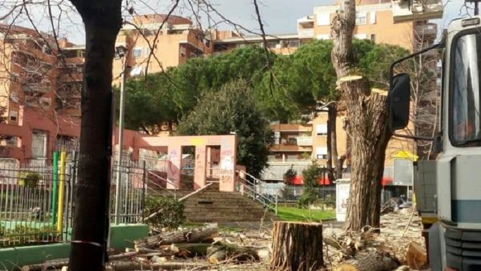 alberi