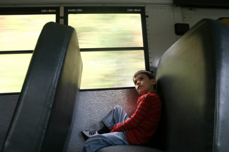 bus