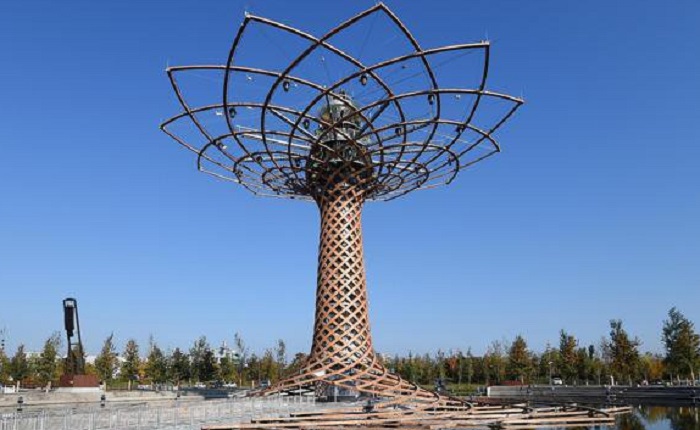 Albero della vita
