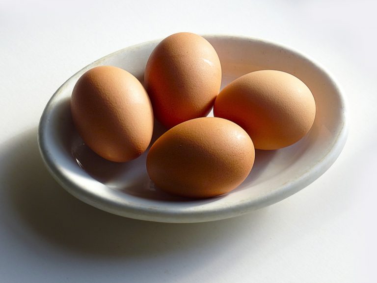 egg salmonella