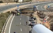 elefante autostrada