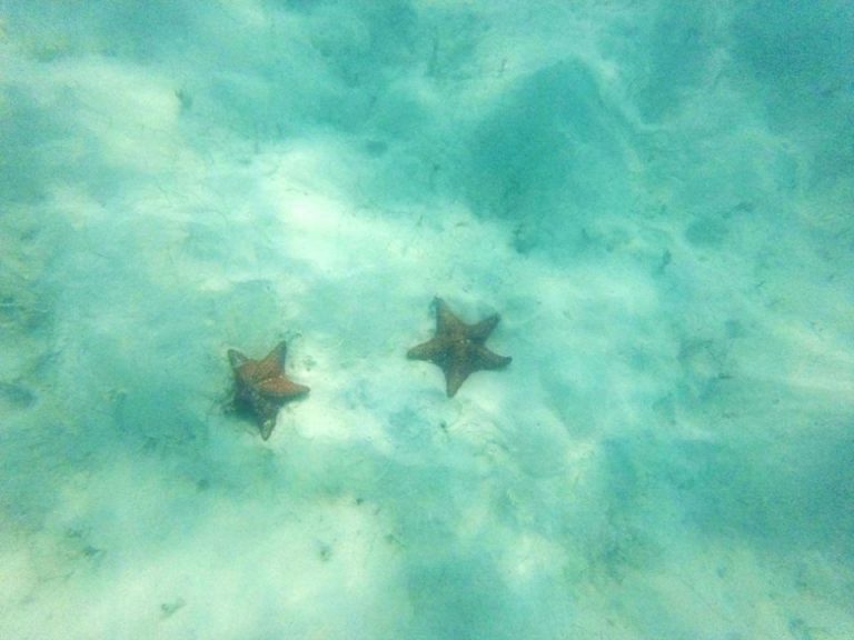 Bayahibe