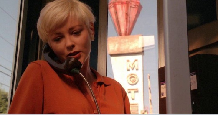 pamela gidley 2