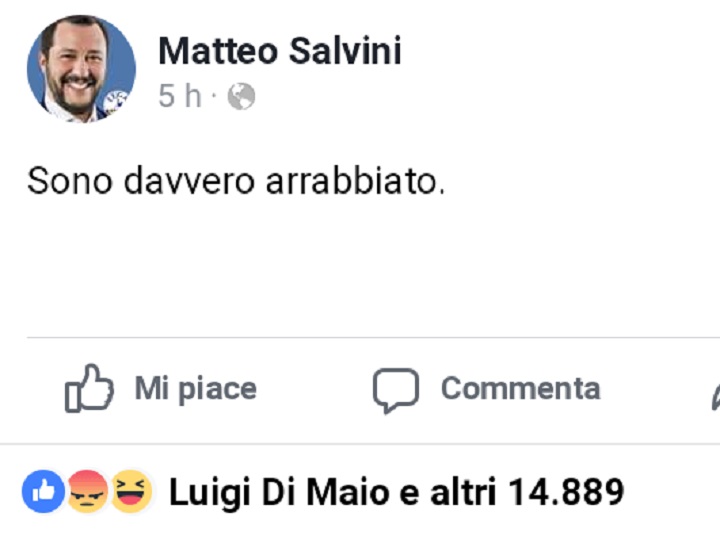 post salvini
