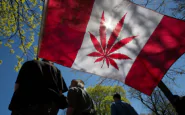 Canada legalizza marijuana