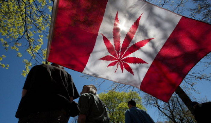 Canada legalizza marijuana