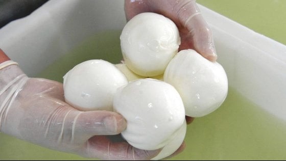 Mozzarella