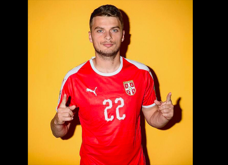 Adem Ljajić