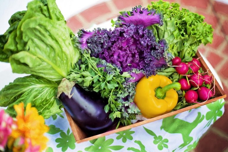 Dieta vegetariana, che cosa mangiare e come mantenerla. Dieta vegetariana.