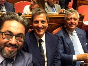 Barachini senato