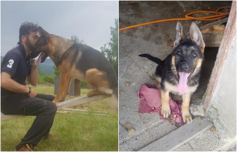 Kora, la figlia del cane-eroe Kaos