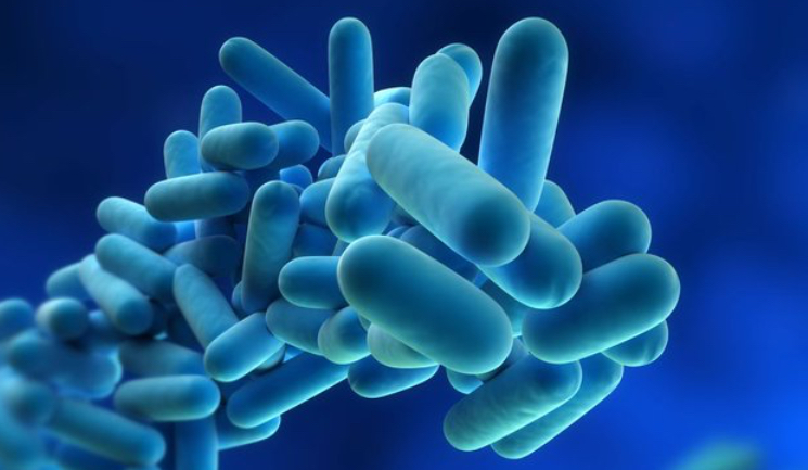 Legionella