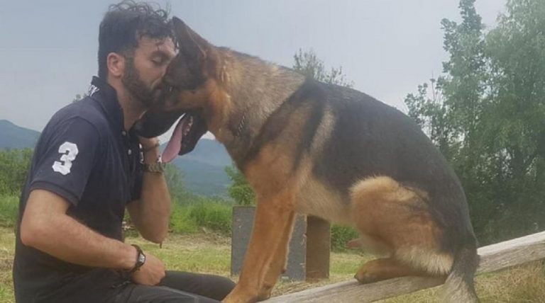 Padrone del cane eroe di Amatrice: non so se continuare Padrone del cane eroe di Amatrice: non so se continuare