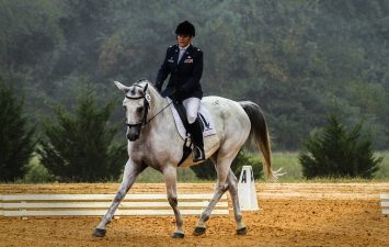 Sport cavallo, fantino