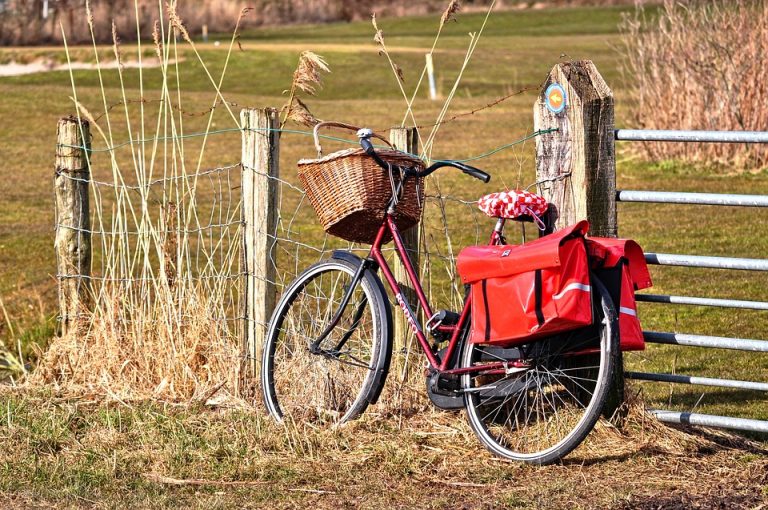 borsetta bici