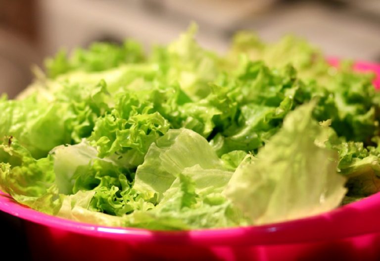 insalata insalata