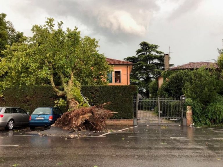 maltempo padova