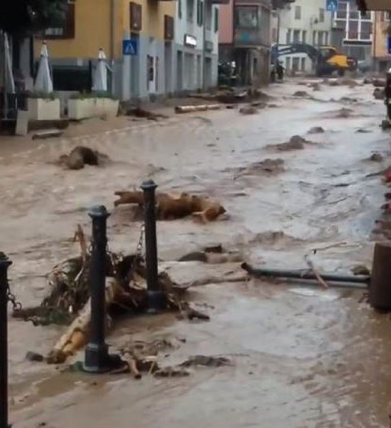 maltempo trentino