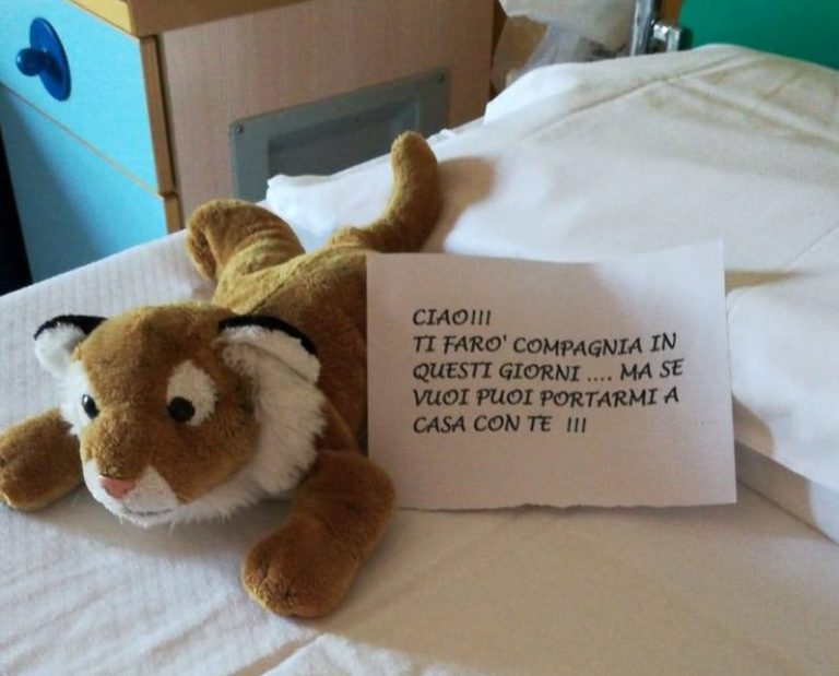 peluche pediatria