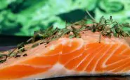 salmone