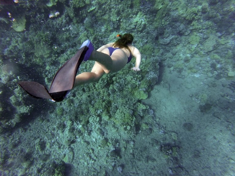 snorkeling snorkeling
