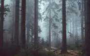 Boy scout ritrovati nei boschi di Pordenone