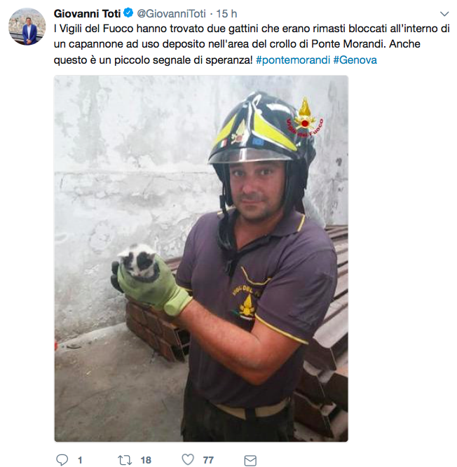 Il tweet di Toti