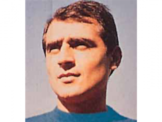 Dove si trova il numero della carta d'identità elettronica