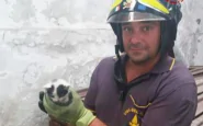 Un vigile del fuoco con il gattino trovato sotto il ponte Morandi