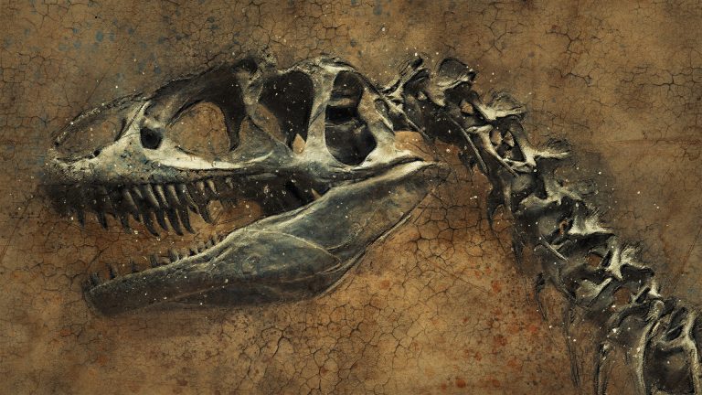 Scoperto nuovo dinosauro, simile agli uccelli