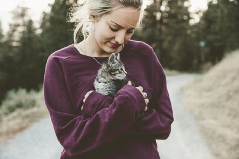 gatti
