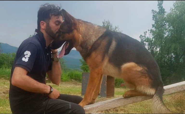 Avvelenamento cane Kaos