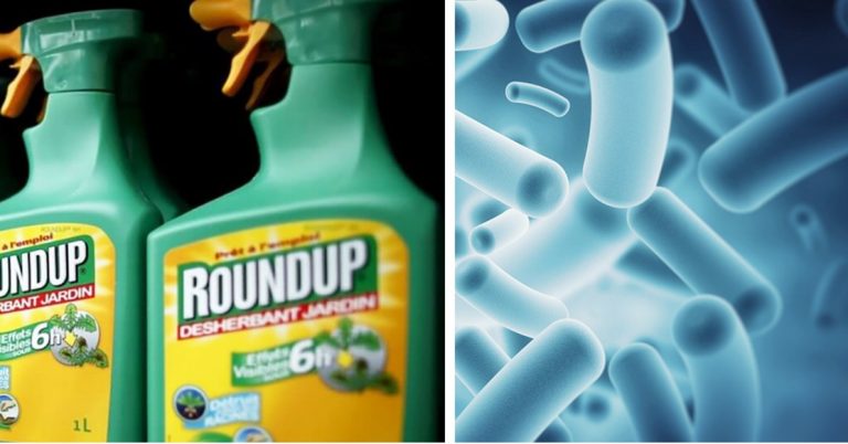 monsanto condanna
