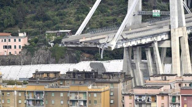 ponte